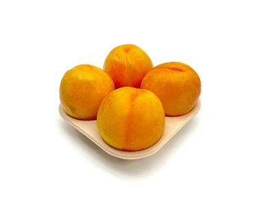 product-368-253 product-368-253