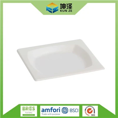 Bagasse Square Plates