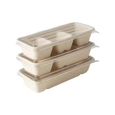 Kaxxa bento li tintrema