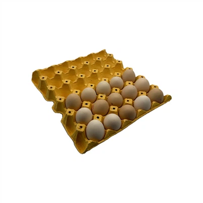 Tray tal-kartun tal-bajd